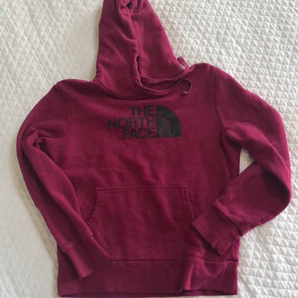 The north face sweatshirt
